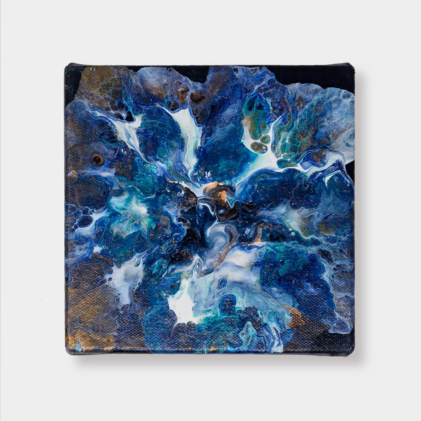 Indigo Flower